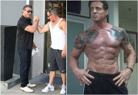 stallone height|how big is sylvester stallone.